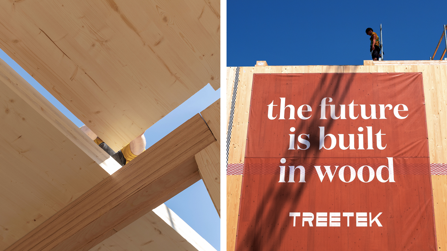 Sinds 1416 treetek campagne folder huisstijl ontwerpbureau grafisch ontwerp arnhem20